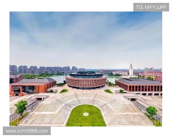 杭州排球队整体表现分析：压制与失误的双重影响探讨