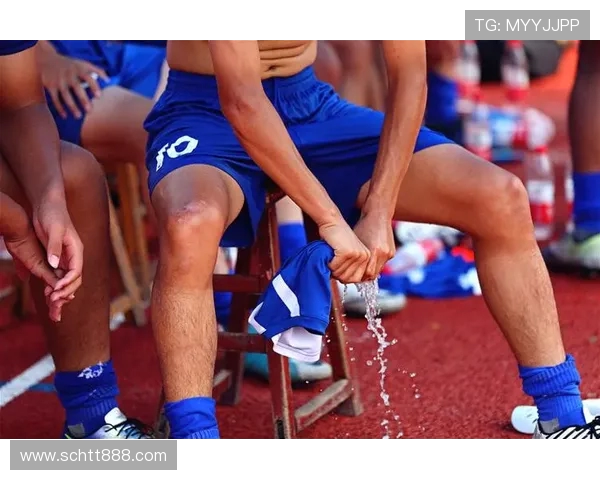 杭州足球队的拼搏历程与荣耀时刻全景纪实