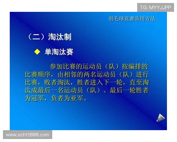 赛后分析：杭州羽毛球队与北京羽毛球队的竞技状态对比与反思