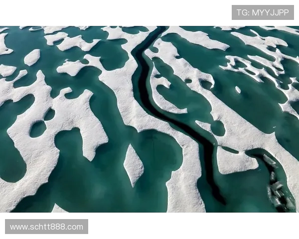 利勒斯特对决精彩回顾与战术分析全景展现 利勒斯特对决精彩回顾与战术分析全景展现