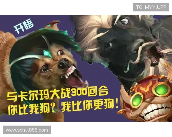 埃斯基尔与卡尔玛激战在即谁能在这场对决中笑到最后