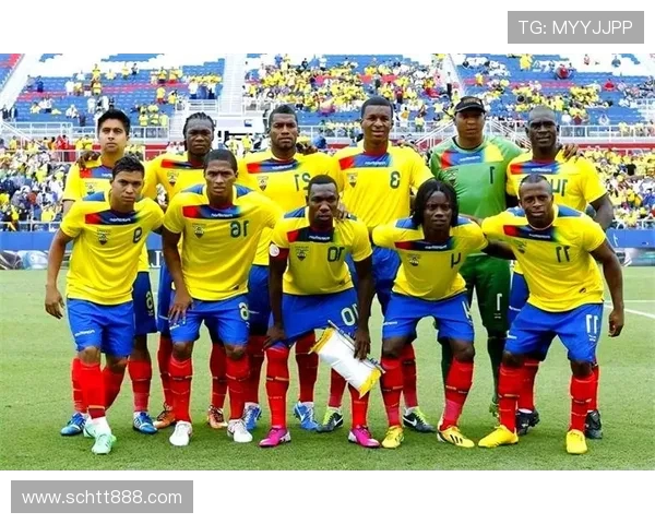 巴西与塞内加尔精彩对决回放全场比赛分析与精彩瞬间回顾