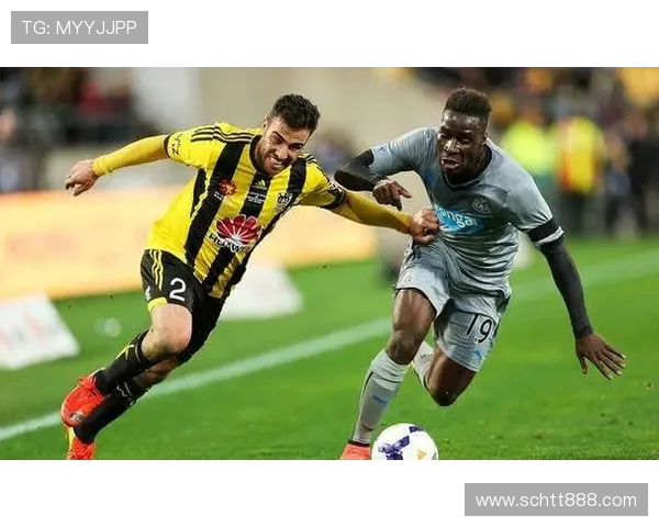 惠灵顿凤凰迎战布里斯班狮吼期待精彩对决与激烈碰撞 惠灵顿凤凰迎战布里斯班狮吼期待精彩对决与激烈碰撞